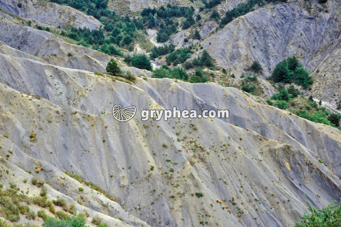 Terrains argileux ravinés - gryphea.org